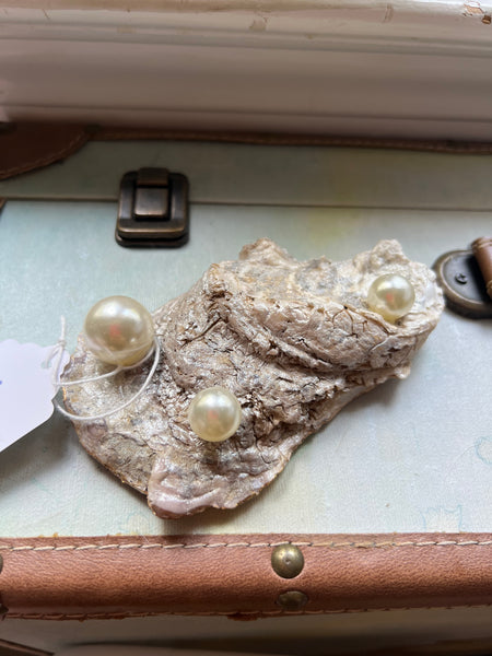 Oyster Trinket Dish (Tequila)