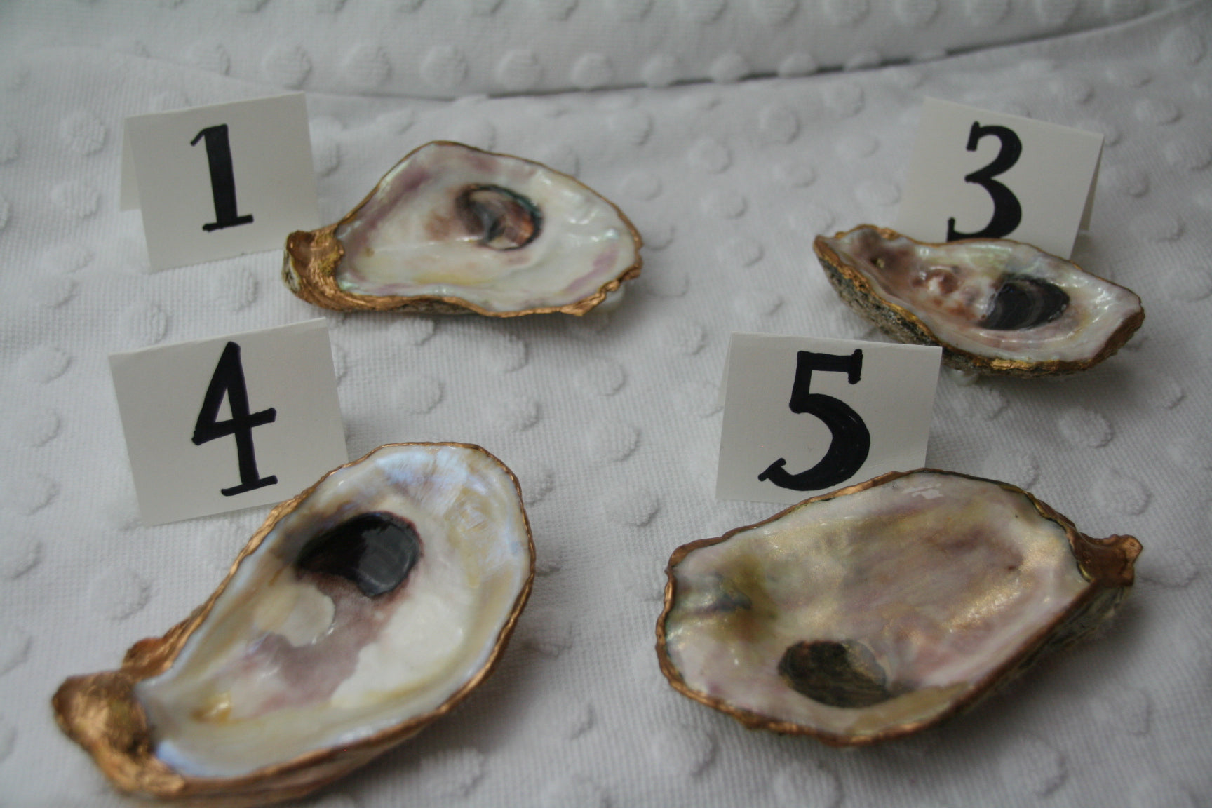 Oyster Trinket Dish